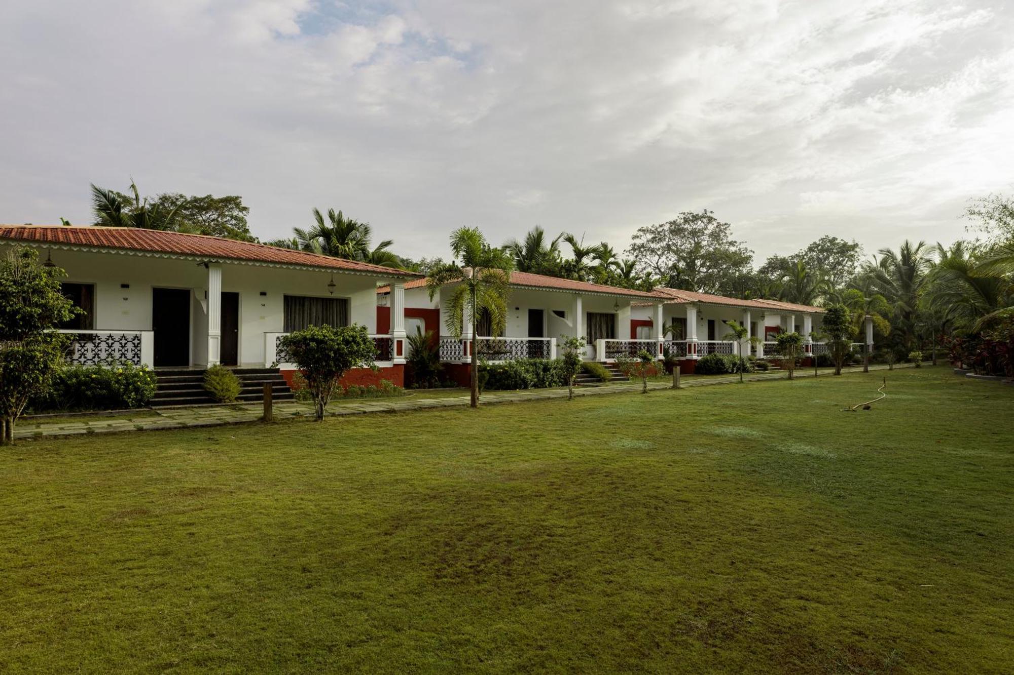 קאנאקונה Wild Berry Resort Agonda מראה חיצוני תמונה